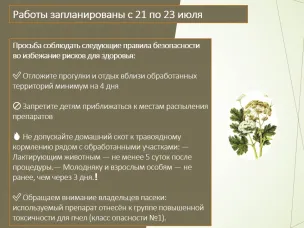 Внимание! Запланированы работы по борьбе с борщевиком Сосновского!